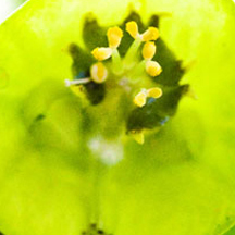 永久使用不收费的网站攻击软件工具